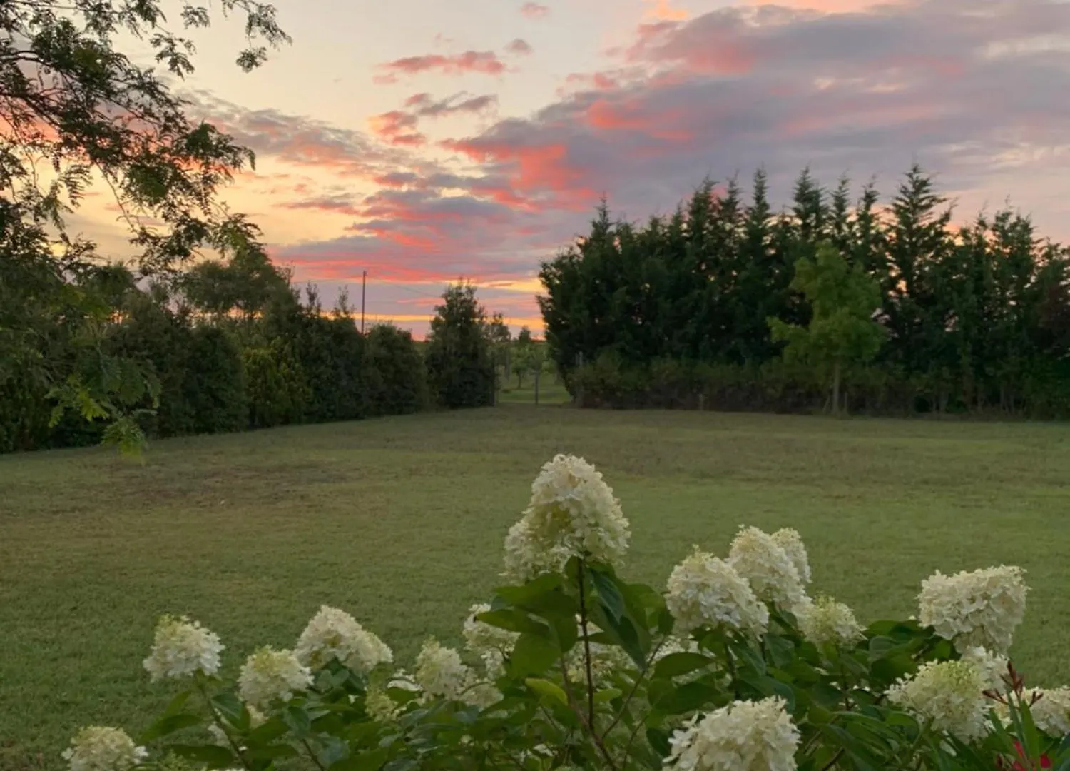 B&B Beauty House Cesena Bed & Breakfast