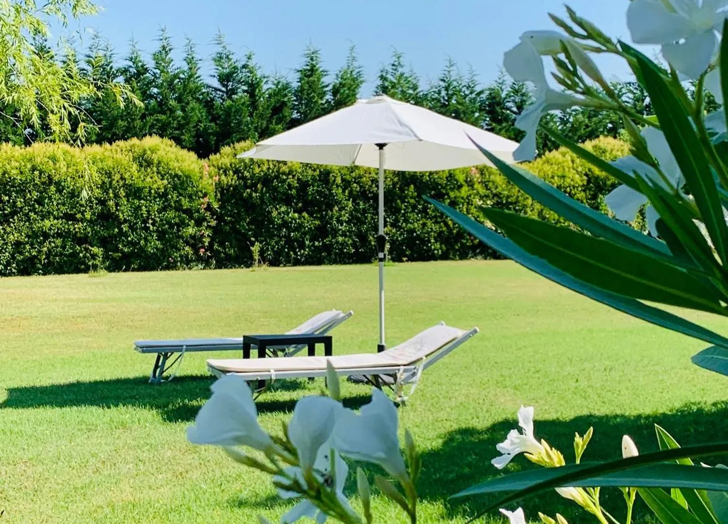 B&B Beauty House Cesena 0*,