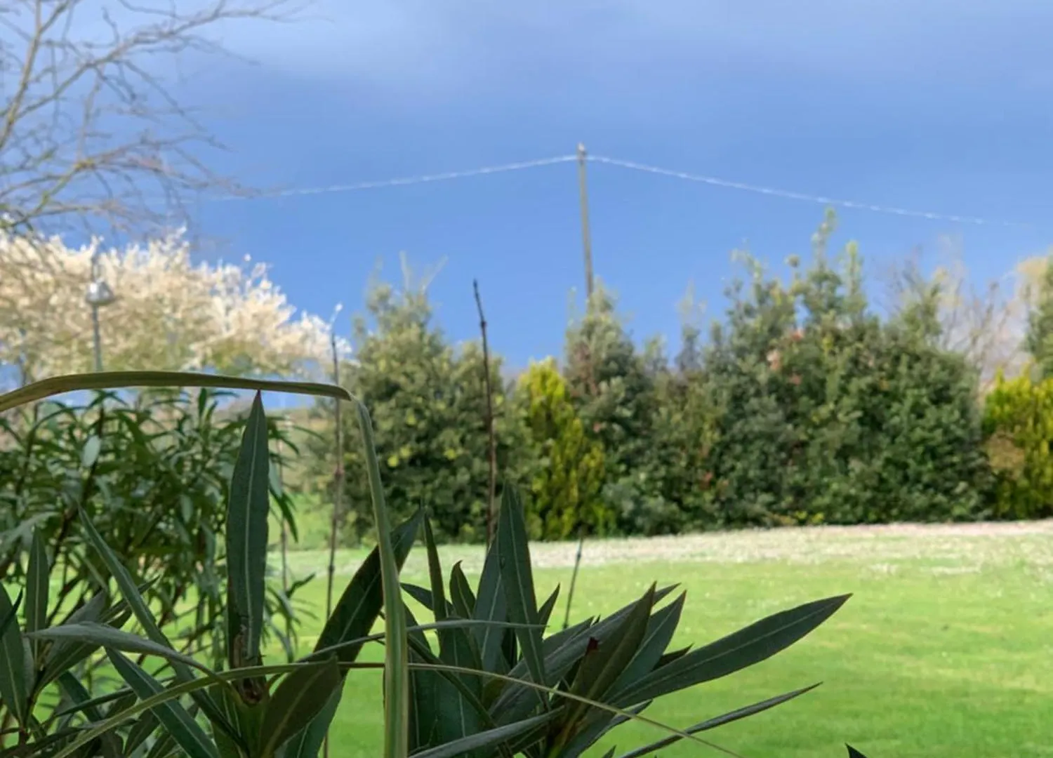 B&B Beauty House Cesena Bed & Breakfast